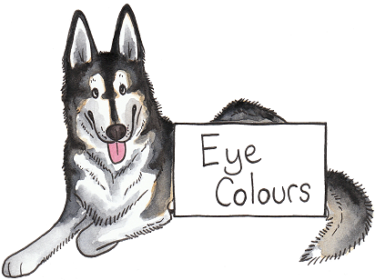 Amber Eyes In Dogs