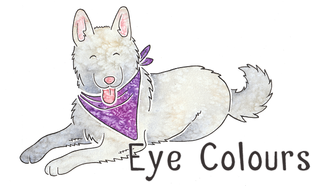 Dog Eye Color Chart